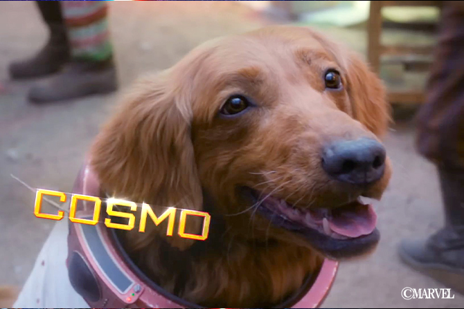 ジェームズ・ガン、『GotG:Vol.3』撮影中にコスモ役の犬と遊びまくる ー スタッフが明かす
